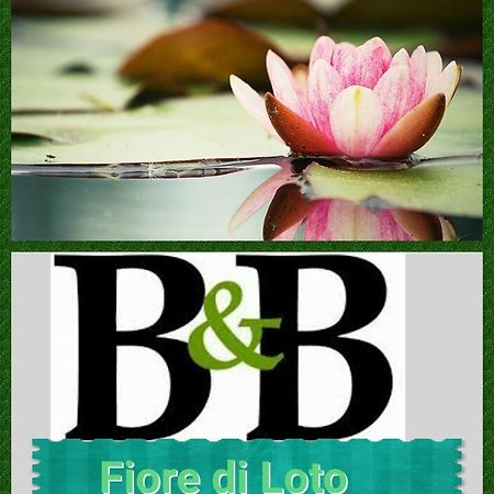 Fiore Di Loto Limatola Luaran gambar